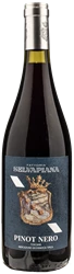 Selvapiana Pinot Nero 2021