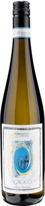 Front Stefano Antonucci Santa Barbara Verdicchio Castelli di Jesi Pignocco 2023