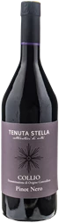 Tenuta Stella Pinot Nero 2021