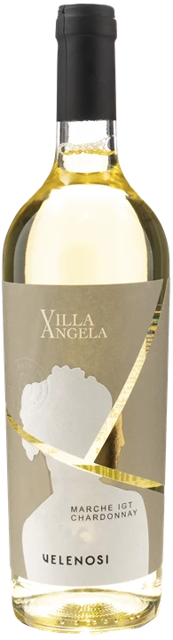 Vorderseite Velenosi Chardonnay Villa Angela 2023
