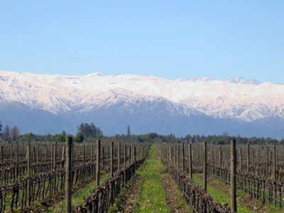 Maipo Valley 3