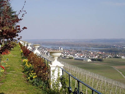 Rheingau 3